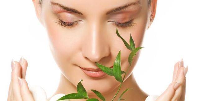 新手護膚指南：開啟你的肌膚煥新之旅